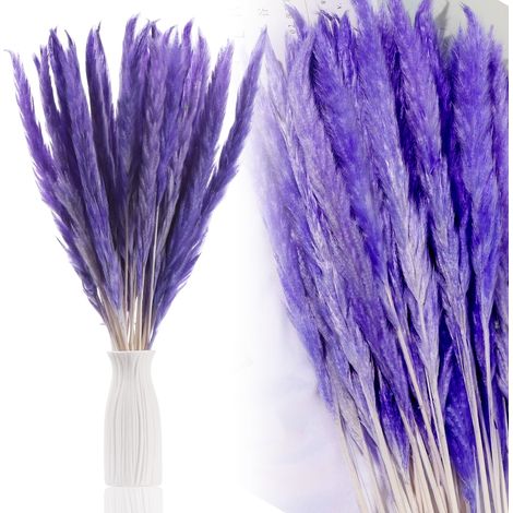 Pampas Grass - Natural Dried Reed Stems - For Wedding Decor DIY Home Styling Photography - 30 Pieces (1/5)
