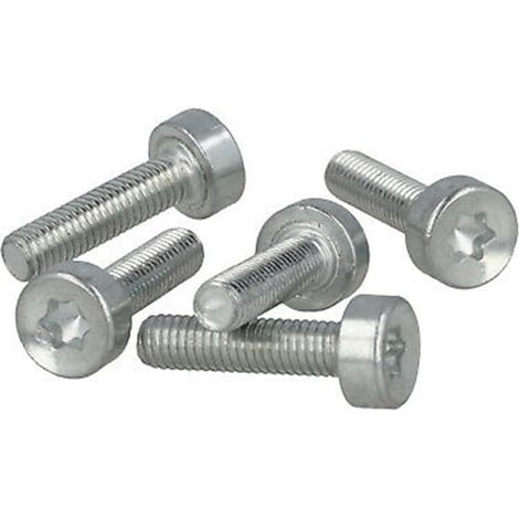 vis de rechange pour carter d'échappement TS410/TS420, longueur (1/2)