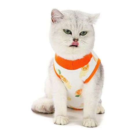 Combinaison de récupération pour chat après la chirurgie (L, orange) (1/4)