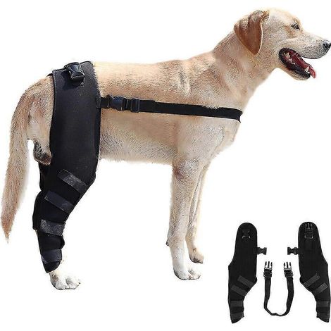 Support pour pattes arrière de chien, orthèse de genou pour blessure médicale chez l'animal, arthrite (1/5)
