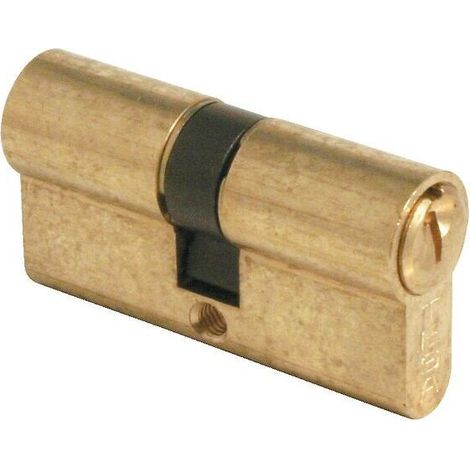 Cylindre double type TE5 en 30 X 100 mm laiton nickelé 3 clés - Tesa securité (1/2)