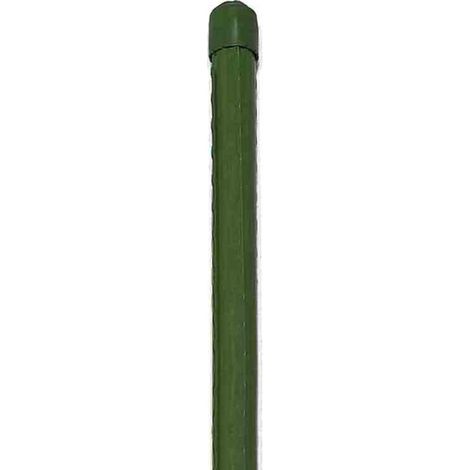 Pflanzstab 11 mm x 120 cm hellgrne Kappe (1/2)