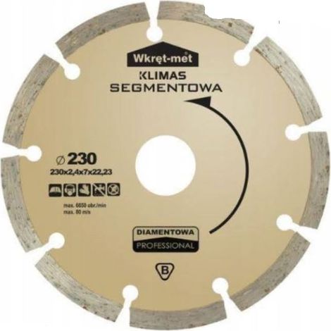 Disco diamantato segmentato TDS da 230 mm con vite (1/4)