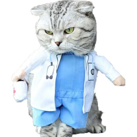 Vêtements pour animaux de compagnie Le médecin canin change de vêtements Le chat change de vêtements
