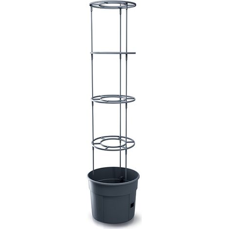 Maceta para tomates de 15 litros, color antracita, IPOM350-S433 (1/5)