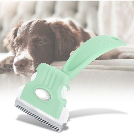 Peigne pour animaux avec lame interchangeable, peigne pour petits et moyens chiens, brosse pour l'épilation des poils d'animaux (vert) (1/5)