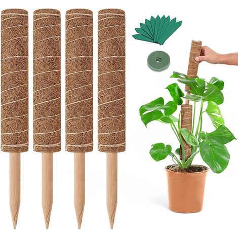 Tuteur extensible en mousse en 4 parties - Support pour plantes grimpantes Monstera et Pothos - Support de jardin 5 x 40 cm - Utilisation intérieure et extérieure (1/4)