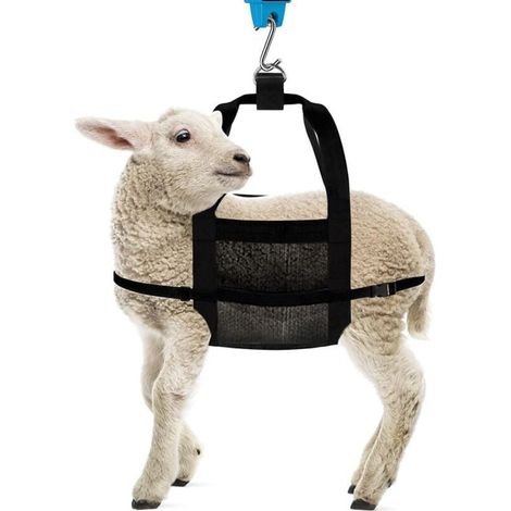 Perforiert - M1393Designer-Waschtisch-Ablaufgarnitur ohne Überlauf und ohne Ablaufkörper, Chrom (1/4)