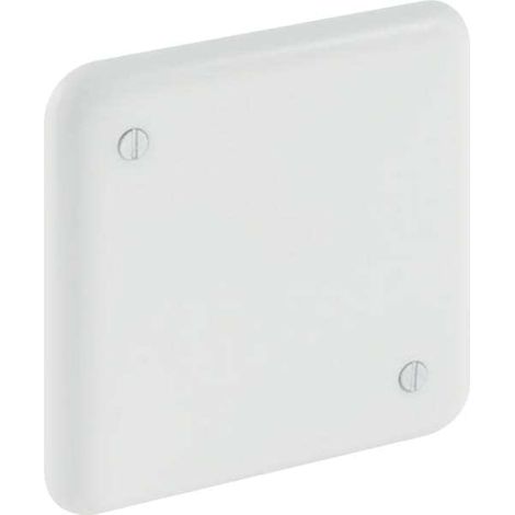 Abdeckplatte weiss zu HyTronic 241161 (1/5)
