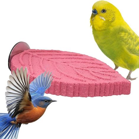 Aire de jeu en résine en forme de , perchoir pour cage à oiseaux, perchoir jouet pour perruche avec design à mâcher, caractéristique inséparable, accessoire de recherche de nourriture interactif (1/5)