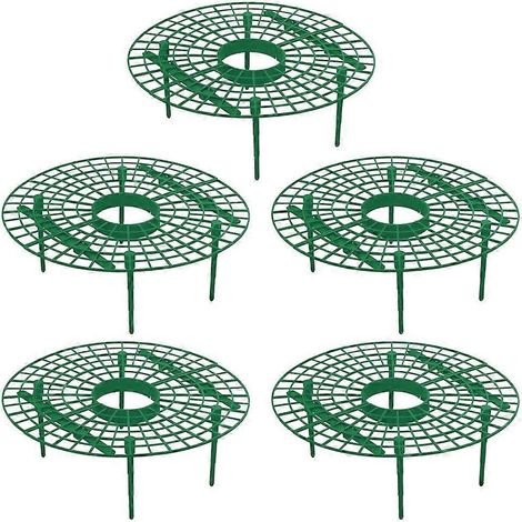 Lot de 5 supports pour fraisiers, étagères de culture pour plantes grimpantes, support de jardin (1/4)