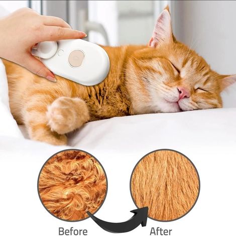 Filiyano-Brosse vapeur électrique pour chiens et chats : soin du pelage, toilettage, massage relaxant, hygiène domestique (1/3)