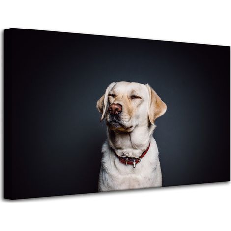 Stampa su tela con animali, cane, sfondo nero, 80x50