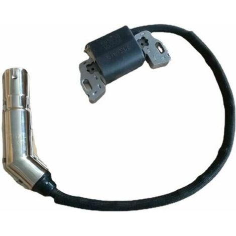 Briggs & Stratton Ignition 595304 799650 795315 Hochspannungszünderpaket