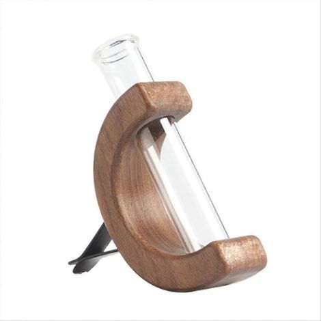 Support de vase à fleurs pour voiture, tube en verre pour plantes fraîches (1/5)