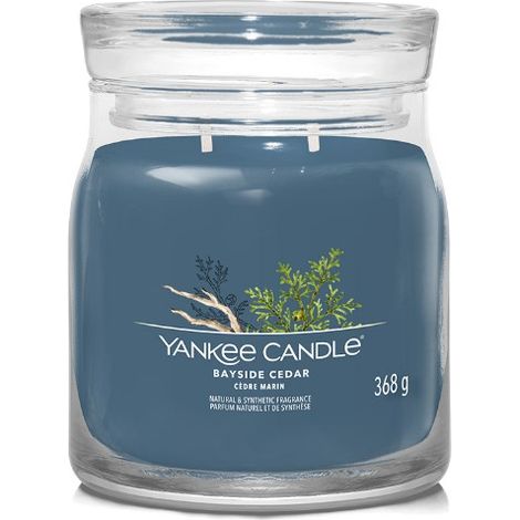 YANKEE CANDLE CANDELA MEDIA SIGNATURE BAYSIDE CEDAR (1/3)