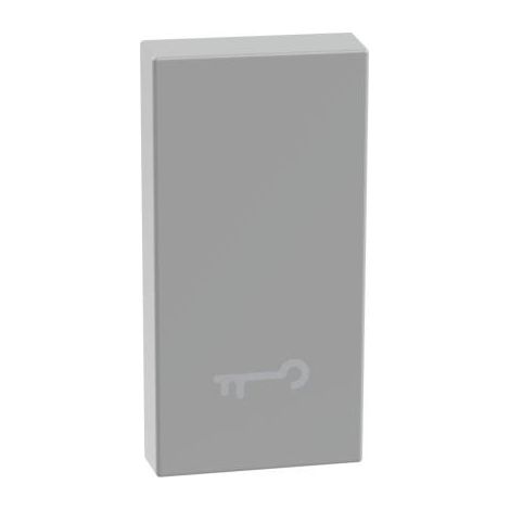 Copritasto con simbolo chiave per comandi assiali MatixGo Bticino JG4916F silver