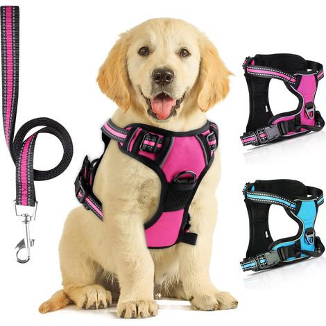 Harnais pour chien, harnais anti-traction, harnais anti-traction, harnais anti-traction, harnais pour chien moyen, facile à porter, rose rouge M
