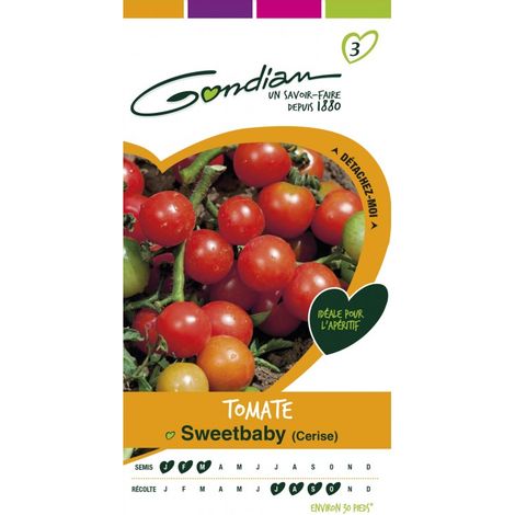 Gondian - Tomate Sweetbaby