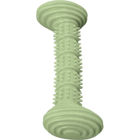 Jouets à mâcher en caoutchouc pour chiens, en forme d'os mignon, pour le nettoyage et le broyage des dents des chiots, jouets à mâcher souples pour les petits et moyens chiens, vert (1/5)