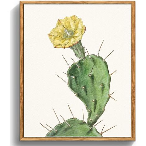 Vintage Botanische Leinwand Bilder mit Rahmen Holz 30x40cm Opuntia Flowering (1/5)