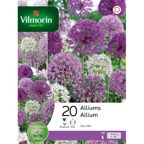 Vilmorin Allium Mélange (x20) (1/2)