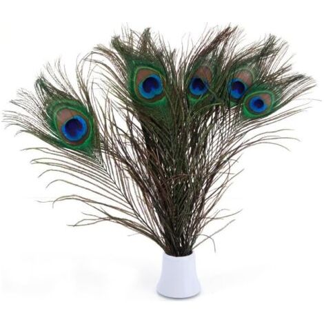 SABIR Promotion, Véritables plumes de paon social, 25-30 cm, superbe décoration pour mariage, Noël, Halloween, maison (20 pièces bien sûr), (1/5)