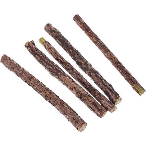 5x Matatabi Katzenminze-Spielzeug zum Lecken von Kätzchen im Innenbereich, Matatabi Zahnpflege-Backenzahnwerkzeug