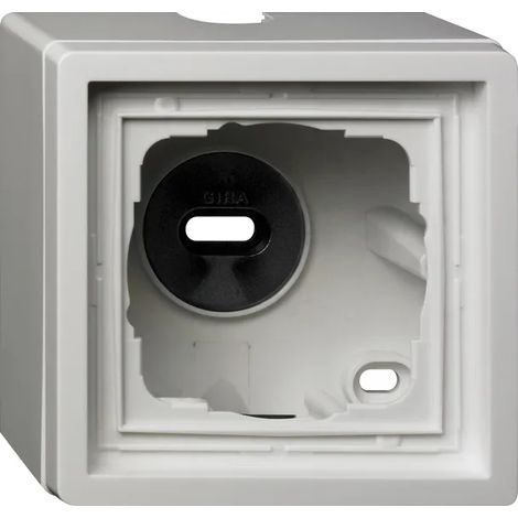 Gira Caja sup. 1v + Marco Interruptor de superficie Blanco puro [0061112], 0061 112
