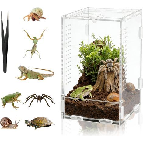 Acryl-Terrarium 20x12x11cm Transparent mit Luftlöchern für Reptilien, Spinnen und Schnecken (1/5)