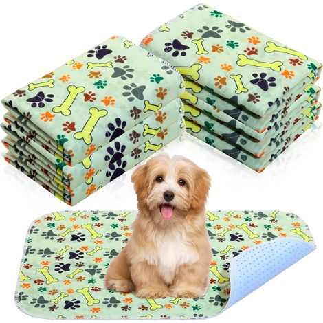 6 Stück Waschbare PIPI Pads für Hunde 60 x 40 cm Wiederverwendbare Welpen Pads Saugfähige wasserdichte Hund Urin Pads Hundematte rutschfeste Trainingsunterlagen Geruchskontrolle für Kleine Haustiere (1/5)