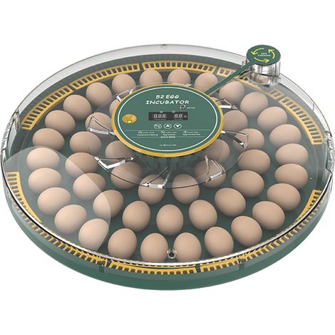 Covey Plus: Incubateur Automatique pour 52 Œufs (Couleurs Disponibles) avec Contrôle de Température/Humidité et Candling LED