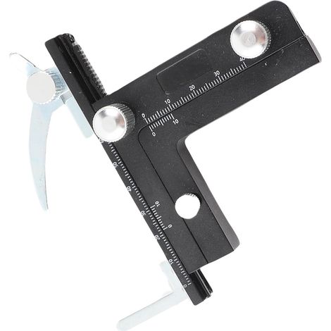 Règle à pied à coulisse mobile pour Microscope, accessoire professionnel, scène mécanique X-Y de haute précision avec échelle