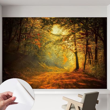 Tapete Selbstklebend - Fototapete mit Motiv - Wandtapete modern - Wanddeko Herbstlandschaft 152x104 cm (1/5)