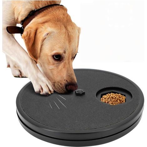 3-in-1 Dog Grooming Board
