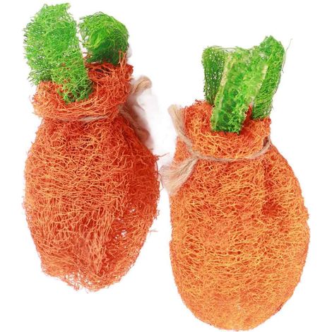 2pcs Jouet à mâcher en luffa, forme carotte avec cordon, nettoyage dents, pour lapin hamster rongeur (1/5)