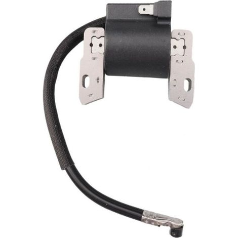 Bobina de encendido de alta tensión compatible con las referencias 591420, 395489, 398593, 397316 y 496914 (1/3)