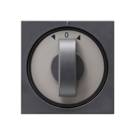 Gira Copr. manopola Tempo + Tapparella System 55 Antracite [066628], 0666 28