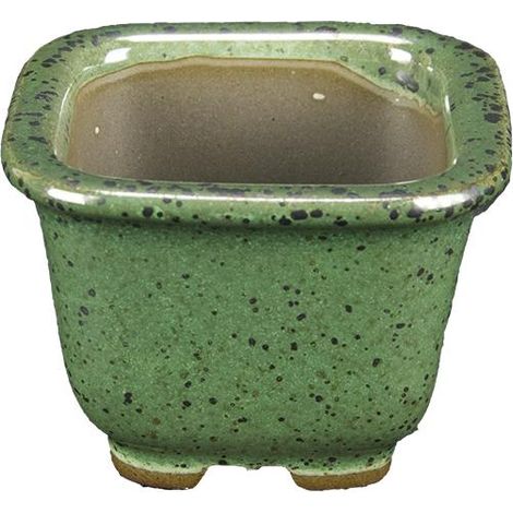 Vaso per bonsai Giapponese Morrisan quadrato in gres smaltato verde 5,5x5,5x4,5 cm - B02-8-8D (1/4)