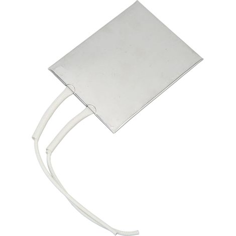 Élément Chauffant PTC en Acier Inoxydable 304 Isolé Résistant Haute Température 220V 220W (1/5)