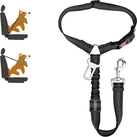 Laisse portable pour chien, laisse réglable, laisse réfléchissante, noire, taille standard. (1/5)