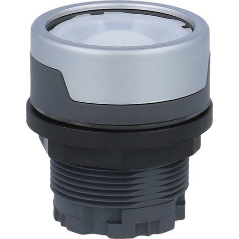 Georg Schlegel Bouton-poussoir avec fonction de maintien éclairée, circulaire, RONDEX-M Course 6,0 mm - 1 Stück (1/2)