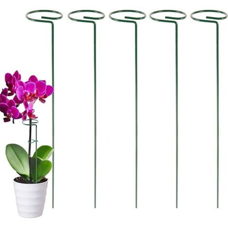 Tuteur pour plantes de jardin, tuteur à tige unique en métal pour fleurs vertes (1/5)