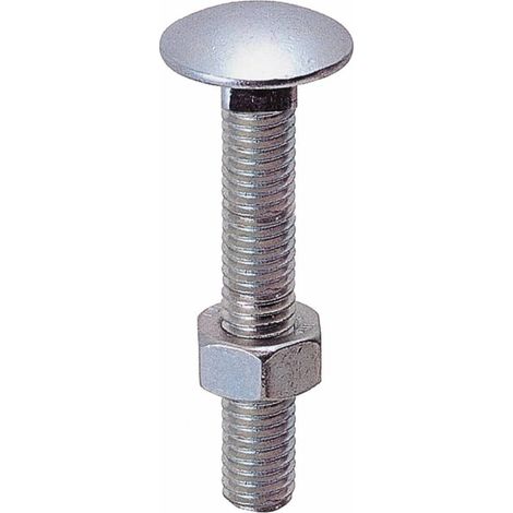 5 x SC BULLONE P/FERRO E LEGNO TTQS  6X 30MM ZN UNI5732 20 PZ