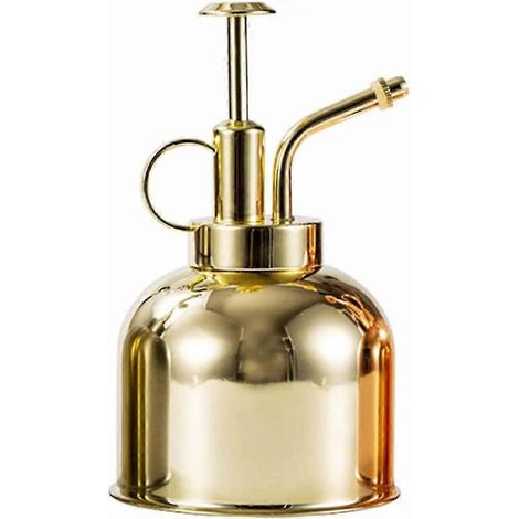 Mini arrosoir en acier inoxydable pour pots de fleurs, vases et seaux de jardin. (1/5)