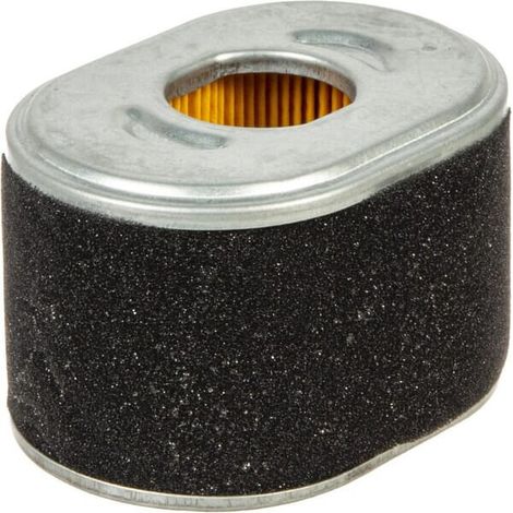 Filtre de purificateur dair BRIGGS ET STRATTON 594146