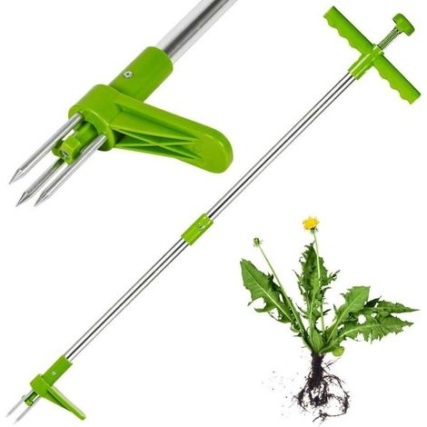 ALLIANDISDésherbeur de Mauvaises Herbes en Acier - Outil de Jardinage à Main, Vert