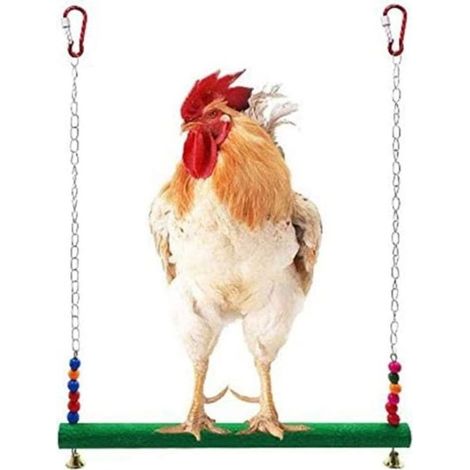 Balançoire pour poules et perroquets – Échelle ludique en bois naturel avec cordes résistantes – Idéale pour volières extérieures et intérieures (1/5)