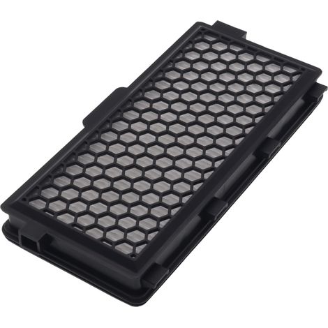 Filtro HEPA aria aspirapolvere per Miele SF-AAC50 C2 C3 S5000 SDR SGE SGU SGF (1/3)