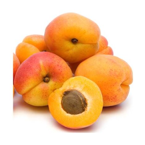 ABRICOTIER LUIZET - Arbres fruitiers - LE SCION GREFFE